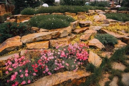 Планировка участка 6 соток с уклоном. Идеи оформления рельефного участка