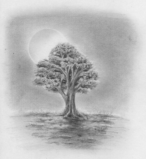 Нарисованное дерево на стене в интерьере. Создайте рисунок дерева на стене сами 22