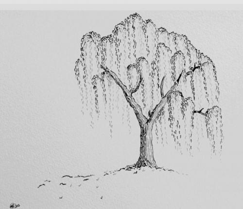 Нарисованное дерево на стене в интерьере. Создайте рисунок дерева на стене сами 25