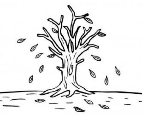 Нарисованное дерево на стене в интерьере. Создайте рисунок дерева на стене сами 27