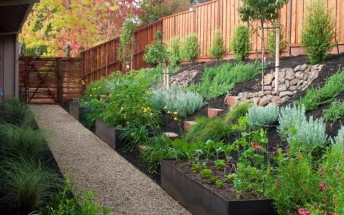 Планировка огорода под Посадку Овощей. Растения-компаньоны в огороде 01