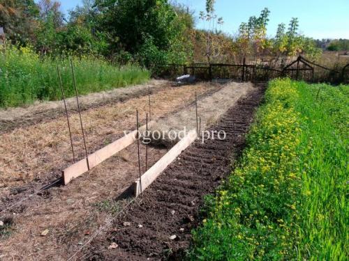 Природное земледелие на практике.