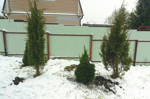 Стоит ли покупать заросший участок. Сколько стоит дом построить? Как превратить заросший участок в место отдыха