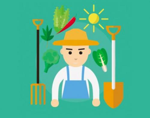 Каталог статей по методам природного земледелия. Видео. Результаты природного земледелия. 05