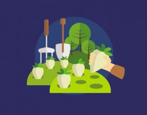 Каталог статей по методам природного земледелия. Видео. Результаты природного земледелия. 06