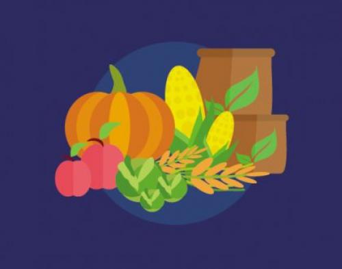 Каталог статей по методам природного земледелия. Видео. Результаты природного земледелия. 07