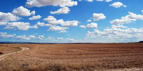Органическое природное земледелие на дачном.. В чём суть органического земледелия? 03