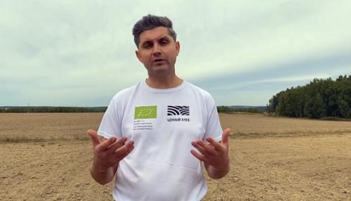 Как перейти на органическое садоводство. Механическая обработка почвы 01 Как перейти на органическое садоводство. Механическая обработка почвы 01