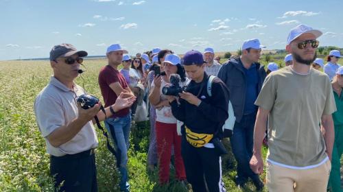 Как перейти на органическое садоводство. Механическая обработка почвы 03 Как перейти на органическое садоводство. Механическая обработка почвы 03