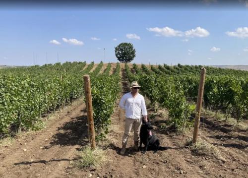 Как перейти на органическое садоводство. Механическая обработка почвы 02 Как перейти на органическое садоводство. Механическая обработка почвы 02