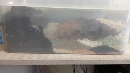 Суккуленты грунт. Составляем грунт для суккулентов