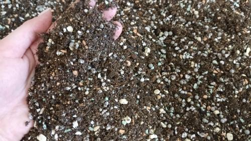 Суккуленты грунт. Составляем грунт для суккулентов