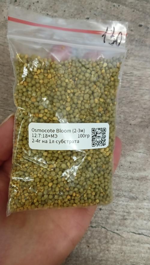 Суккуленты грунт. Составляем грунт для суккулентов