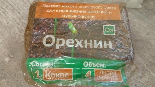 Суккуленты грунт. Составляем грунт для суккулентов