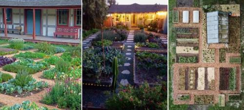 Как красиво расположить грядки в огороде. Расположение грядок