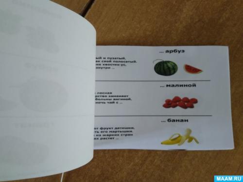 Огород на подоконнике в детском саду. Проект «Огород на подоконнике» (старшая группа) 16 Огород на подоконнике в детском саду. Проект «Огород на подоконнике» (старшая группа) 16