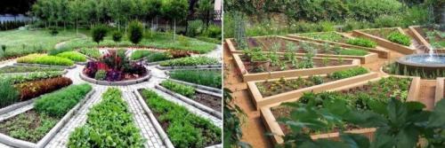 Как красиво расположить грядки в огороде. Расположение грядок