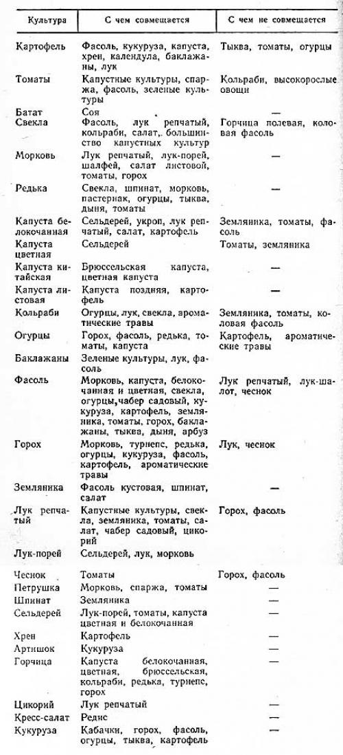 Как правильно расположить грядки Овощей и зелени на огороде. Планировка Огорода под Посадку Овощей — Секреты Успешного Урожая
