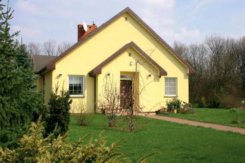 Цементная штукатурка по газоблоку. Виды штукатурок для газобетона