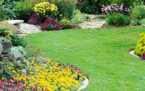 Самая неприхотливая газонная трава и тип газона. Лучшая газонная трава для дачи, которая вытесняет сорняки и не требует ухода 06