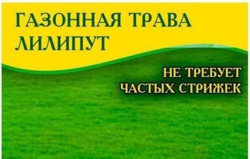 Самая неприхотливая газонная трава и тип газона. Лучшая газонная трава для дачи, которая вытесняет сорняки и не требует ухода