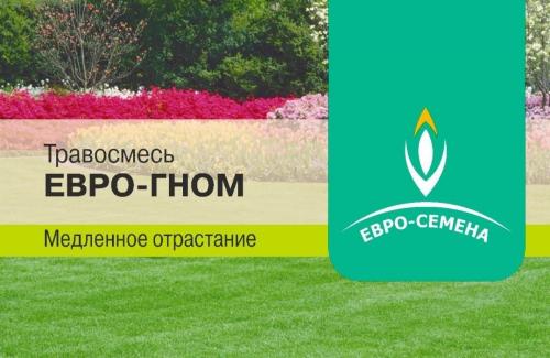 Самая неприхотливая газонная трава и тип газона. Лучшая газонная трава для дачи, которая вытесняет сорняки и не требует ухода