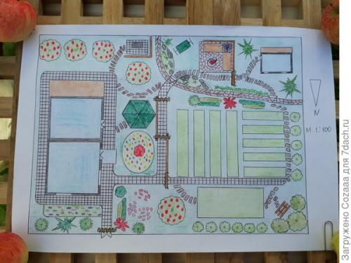 Какие практические советы можно предложить при разделении огорода и зоны отдыха. Как разделить зоны огорода и сада?