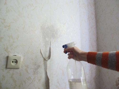 Какие типы обоев можно наклеить на винил. Причины для поклейки новых покрытий на старые обои