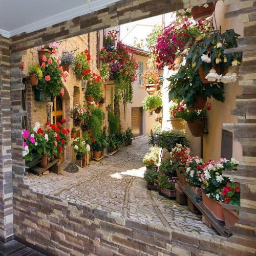 Виниловые обои: возможно ли наклеить на них обычные обои 14 Виниловые обои: возможно ли наклеить на них обычные обои 14