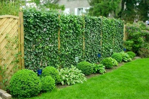 Как спрятать огород на участке?