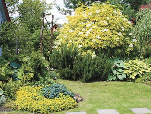 Как спрятать огород на участке?