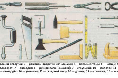 Как выбрать дерево для создания малых архитектурных форм. МАФ из дерева