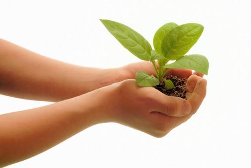 Как изменится экономическая ситуация фермера после перехода на органическое земледелие. Рентабельность органического земледелия