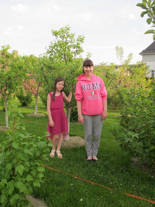 Какие особенности планировки плодово-фруктового сада и огорода могут быть применены для любительского садоводства. Мал мала меньше. Секреты создания плодового сада на небольшом участке