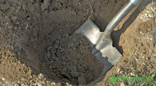 3 Способа вырастить гранатовое дерево. Как домашних условиях вырастить гранат из косточки 18 3 Способа вырастить гранатовое дерево. Как домашних условиях вырастить гранат из косточки 18