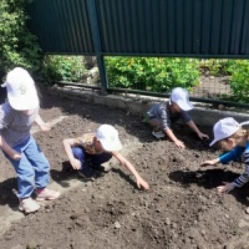 Как можно использовать фотоотчет для продвижения экологического воспитания. Фотоотчет «Эколята — Дошколята» по итогам проведения Дня Эколят