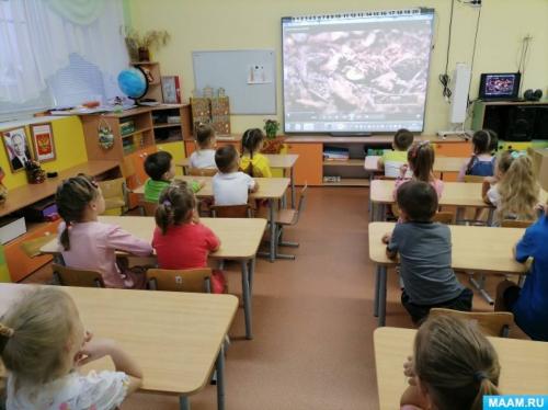 Как фотоотчет может помочь в проведении занятий по экологическому воспитанию. Фотоотчет о Всероссийском экологическом уроке в ДОУ «Эколята — молодые защитники природы»