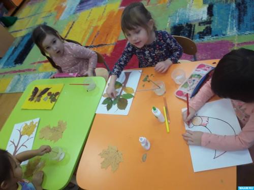 Фотоотчет о занятиях по экологическому воспитанию.. Фотоотчет о занятии по экологическому воспитанию дошкольников