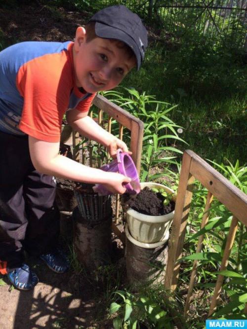 Что должен содержаться в фотоотчете о занятиях по экологическому воспитанию. «Зелёная планета». Фотоотчет о занятиях по экологическому воспитанию в детском саду