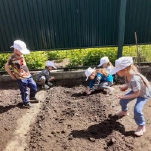 Как можно использовать фотоотчет для продвижения экологического воспитания. Фотоотчет «Эколята — Дошколята» по итогам проведения Дня Эколят