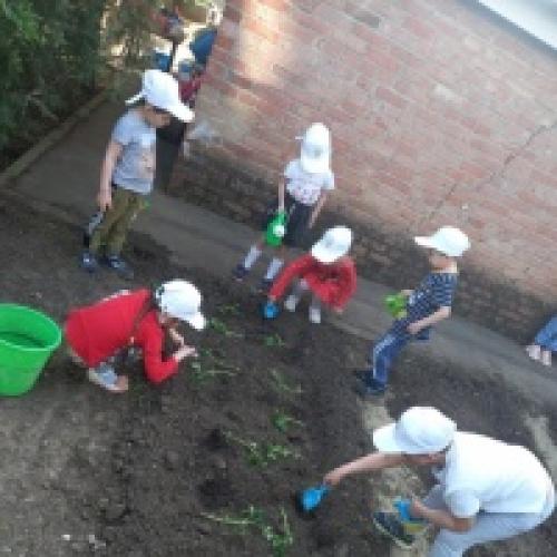 Как можно использовать фотоотчет для продвижения экологического воспитания. Фотоотчет «Эколята — Дошколята» по итогам проведения Дня Эколят