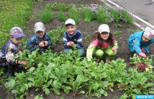 Что должен содержаться в фотоотчете о занятиях по экологическому воспитанию. «Зелёная планета». Фотоотчет о занятиях по экологическому воспитанию в детском саду