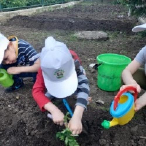 Как можно использовать фотоотчет для продвижения экологического воспитания. Фотоотчет «Эколята — Дошколята» по итогам проведения Дня Эколят