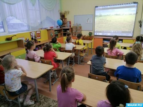 Как фотоотчет может помочь в проведении занятий по экологическому воспитанию. Фотоотчет о Всероссийском экологическом уроке в ДОУ «Эколята — молодые защитники природы»