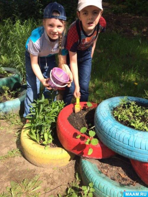 Что должен содержаться в фотоотчете о занятиях по экологическому воспитанию. «Зелёная планета». Фотоотчет о занятиях по экологическому воспитанию в детском саду