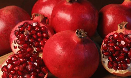 Сборник бесплатных изображений гранатового дерева и гранатов 04 Сборник бесплатных изображений гранатового дерева и гранатов 04