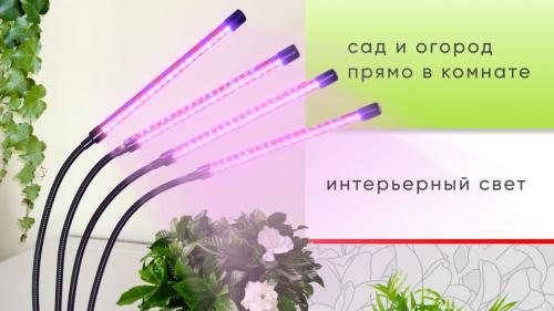 Какие растения можно выращивать с помощью фитоосвещения. Фитосветильник для растений и рассады. Как использовать.