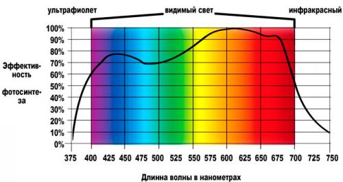Как выбрать подходящие растения для домашнего мини-огорода с фитоосвещением. Красно-синий или белый?