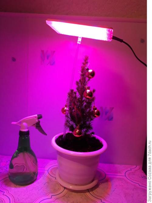 Как экономить энергию при использовании фитоосвещения в домашнем мини-огороде. Если не хватает света. Моя коллекция фитосветильников, личные наблюдения и выводы