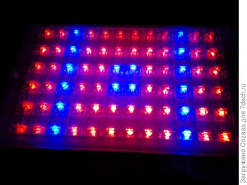 Как экономить энергию при использовании фитоосвещения в домашнем мини-огороде. Если не хватает света. Моя коллекция фитосветильников, личные наблюдения и выводы